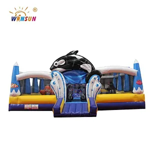 Dolphin Inflatable Fun City