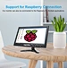 10 Inch Monitor