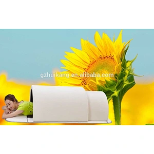 Infrared operation system hothouse portable fir weight loss sauna dome