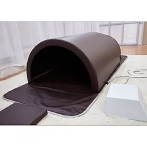Wholesale FIR Hothouse Factory Price Steam Capsule Home Spa Sauna Dome