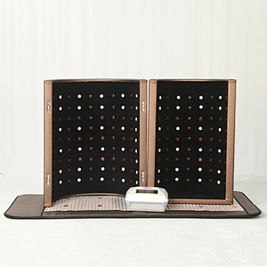 New Arrival Far Infrared Sauna Dome Thermal Therapy Fir Sauna Dome With Photon Light