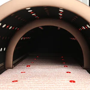 Luxury Portable body Slimming and detox heating fast 3 Zones Infrared spa Capsule Bed Massage Sauna Dome