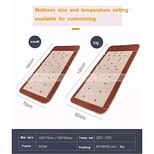 2021 Best selling far infrared pemf magnetic therapy device mat