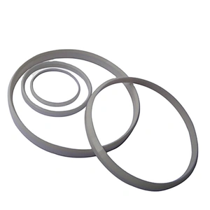 Wear resistance zirconia ceramic ring for pad printing machine