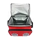 size picnic cooler bag