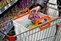 10 Shopping Carts
