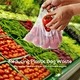 Fruit Mesh Bag