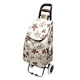 travel trolley bag