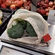 Degradable mesh bag