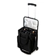 wine cooler bag
