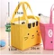 lunch cooler bag