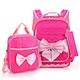School Backpack set