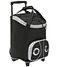 Fold Up Lunch Cooler