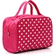 Mini Makeup Train Case