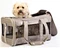 Biodegradable pet bag