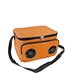 picnic bags