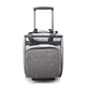 Fashion 4 Person Bulk Food Trolley Picnic Cooler Backpack Bags for Custom LOGO Nylon with Wheels