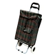 nice portable folding shopping trolley bag with wheels