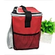 new designed picnic cooler bag