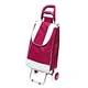 travel trolley bag