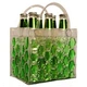 keep chill beer cooler bag