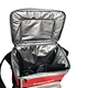new designed picnic cooler bag