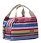 Thermal Insulated Lunch Box