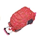 Detachable Trolley bag for School
