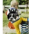 pug dog kids school bag