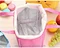 lunch cooler bag