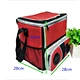 new designed picnic cooler bag