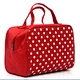 Mini Makeup Train Case
