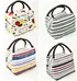 Stock Insulated Lunch Bag