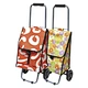 best trolley bag
