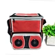 new designed picnic cooler bag