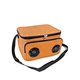 size picnic cooler bag
