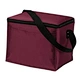 neoprene can cooler bag