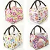 Stock Insulated Lunch Bag