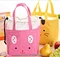 lunch cooler bag