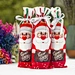 Red Wine Bottle Set