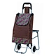 travel trolley bag