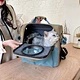 pet bag