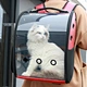 pet bag