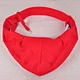 pet bag