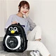 pet bag