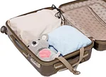 dust bag for handbags