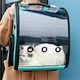 pet bag
