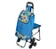 shopping cart bag with compartments