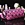 Makeup Bag