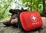 medical bags